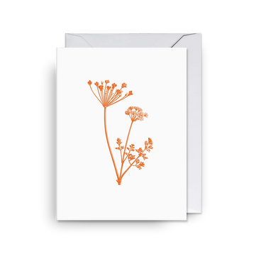 Petite Carte - Cow Parsley